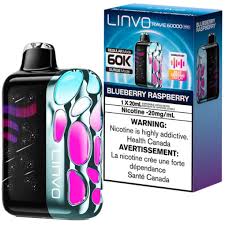 LINVO RAVE (28 Flavors 60K 2%)